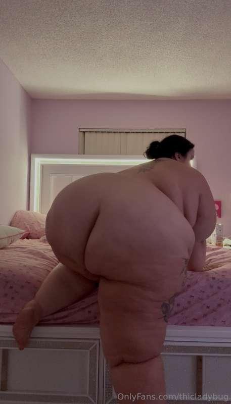 thicladybug image #0
