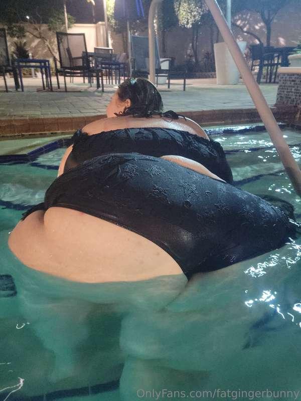 fatgingerbunny image #14