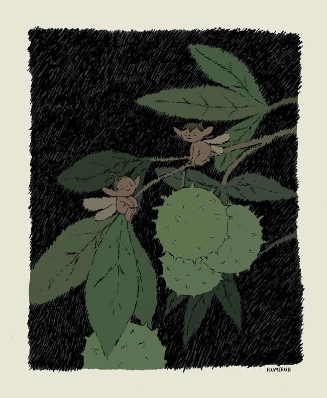Sprig and Sprout