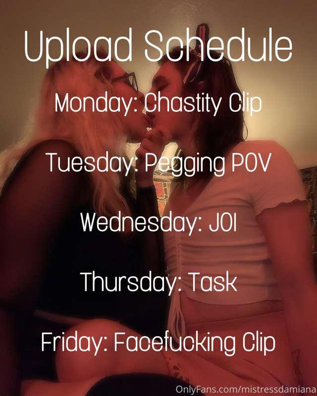 Lots of videos this week for you sluts. Tell me how excited ..