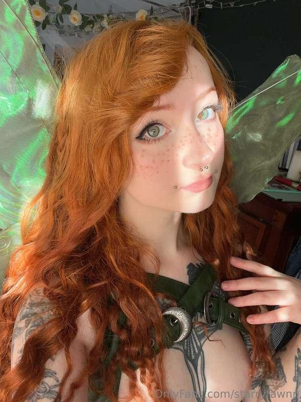 starryfawnn image #23