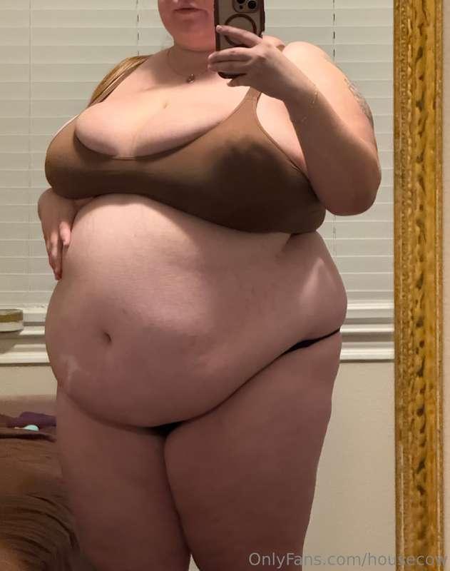 housecow image #2