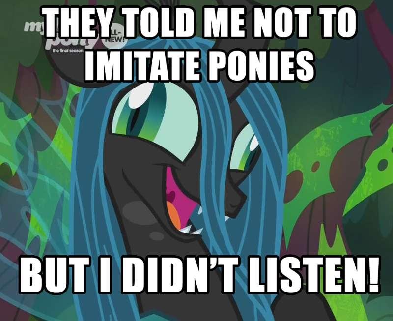 Chrysalis didn't listen