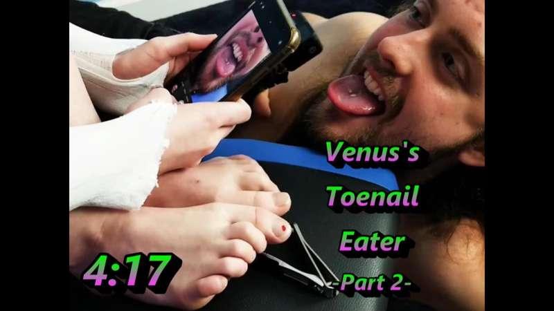 themdom image #0