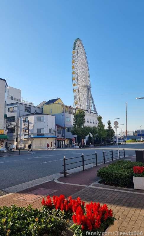 qleefreepage image #2