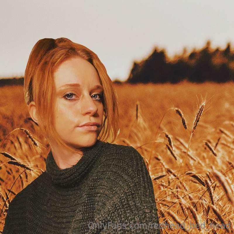 👩🏻‍🦰🌾🌾🌾