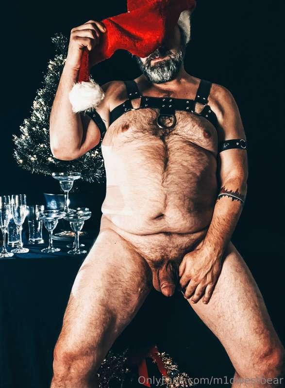 m1dwestbear image #2