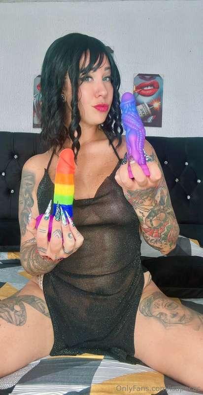 Which of the two dildos do you prefer to play with tonight? ..