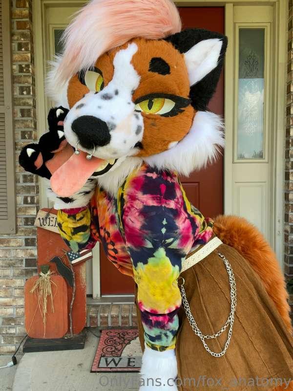 Fall photos incoming :)