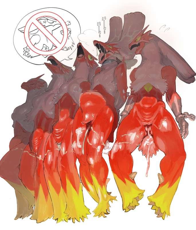 養軍鶏場にて at the chicken farm