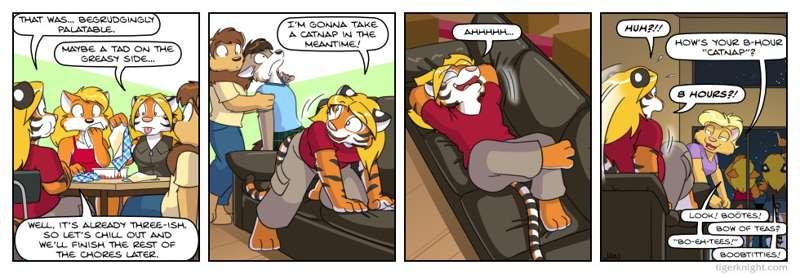 Couch gravity