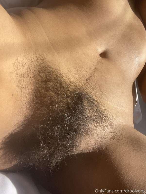 droolydog image #0