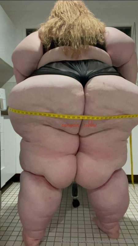penguin_ssbbw image #6