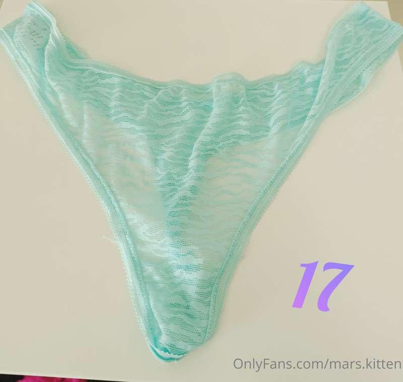 mars.kitten image #30