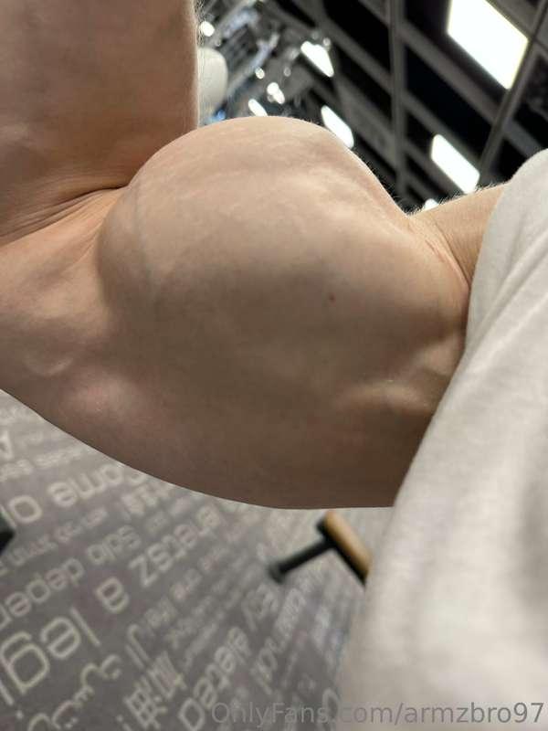 armzbro97 image #0