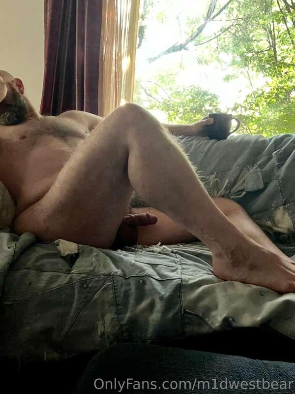 m1dwestbear image #3