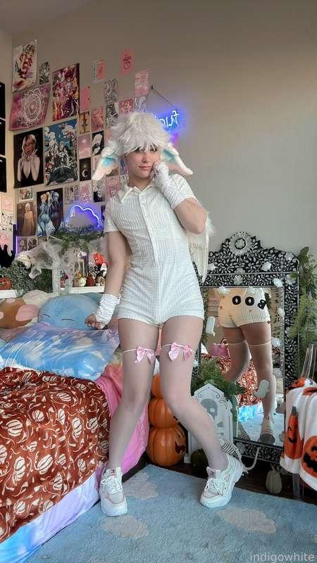 indigowhite image #184