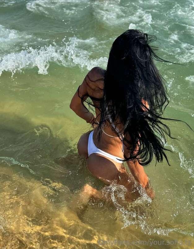 Wild🏖️