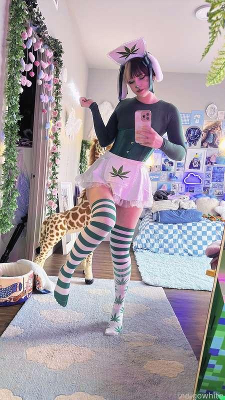 indigowhite image #4