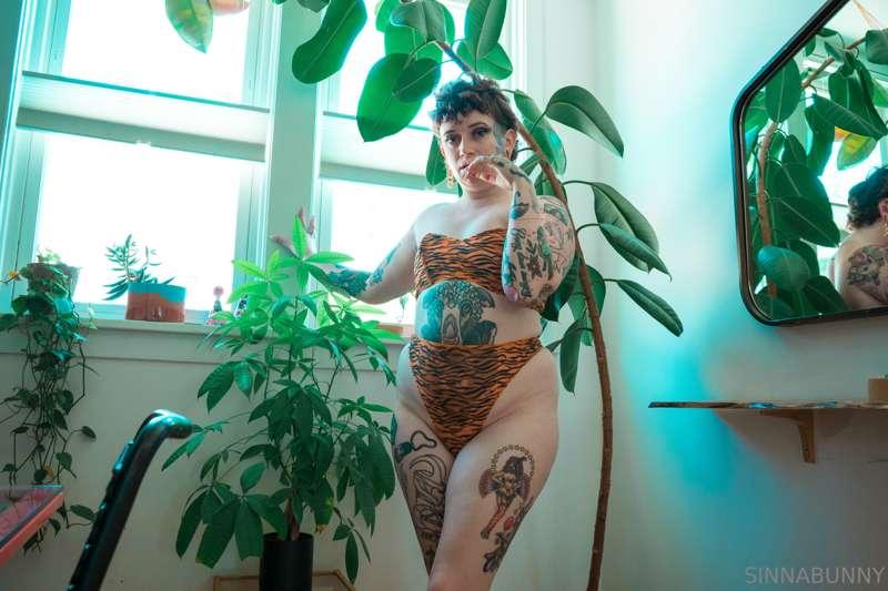 sinnabunny.premium image #5