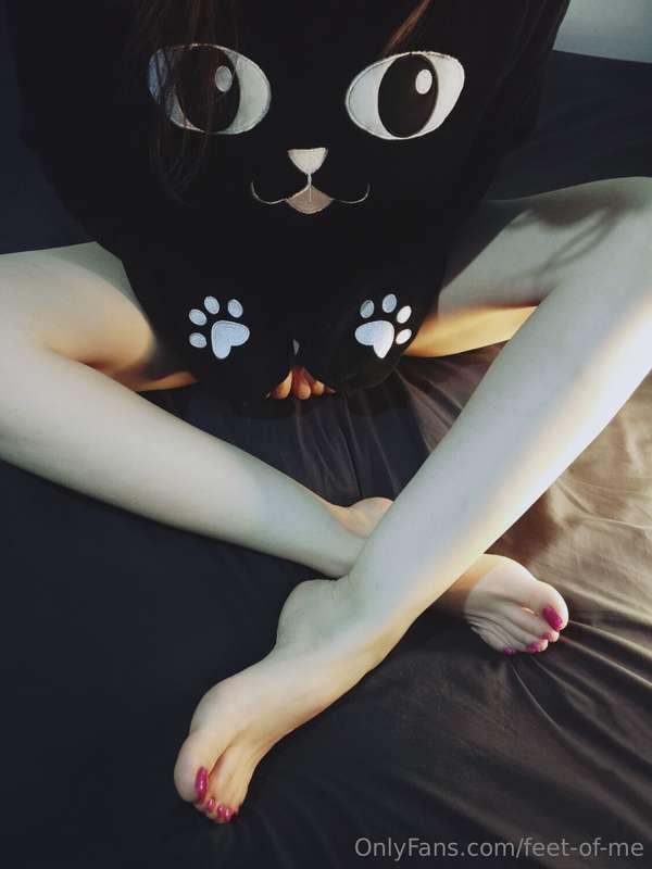 Your kitty lost her underwear🙀 3/3