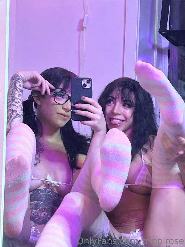 trippirose image #6
