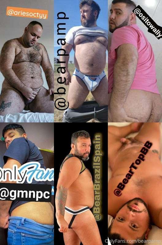 bearpamp main image