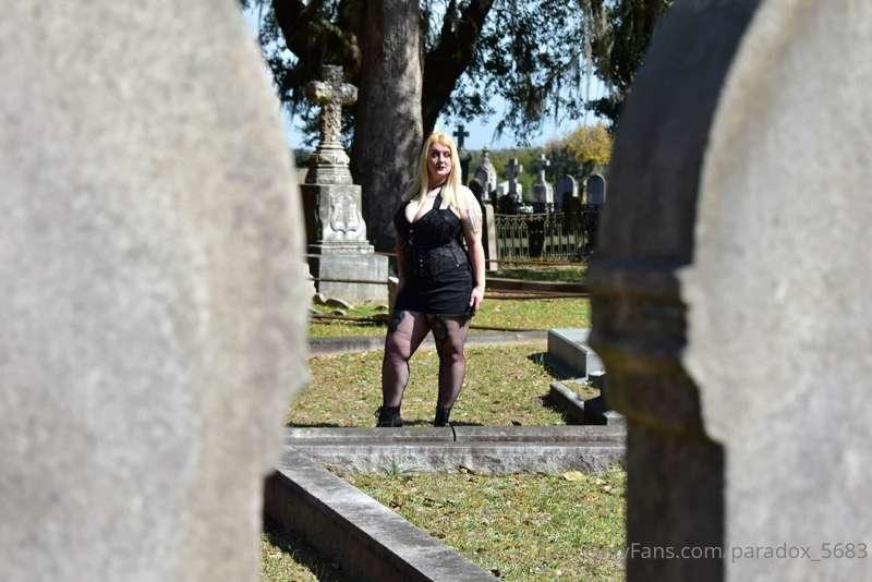 paradox_5683 image #11