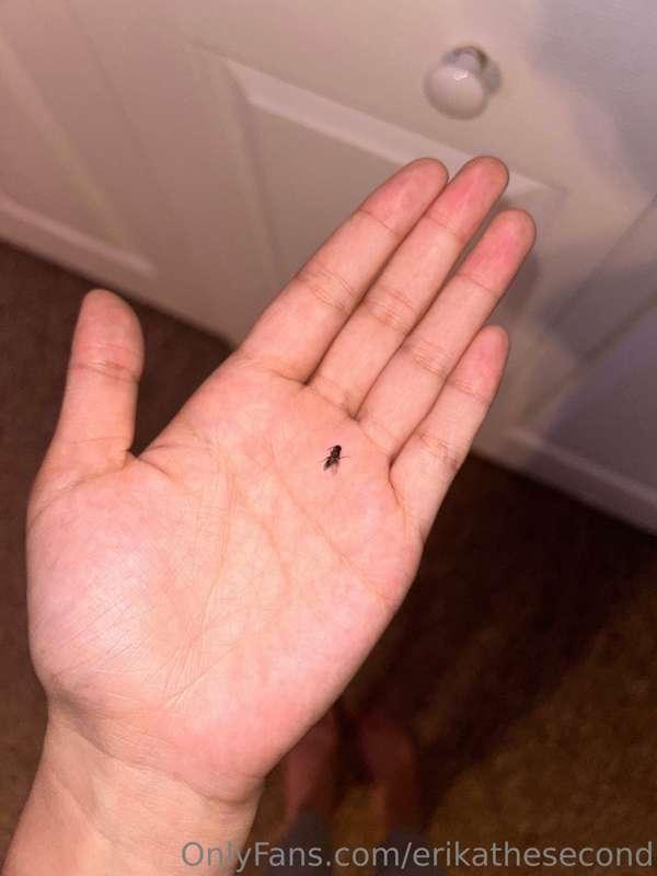 i made a friend