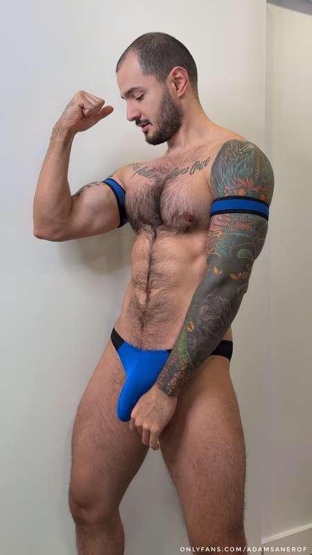 adamsanerof image #0