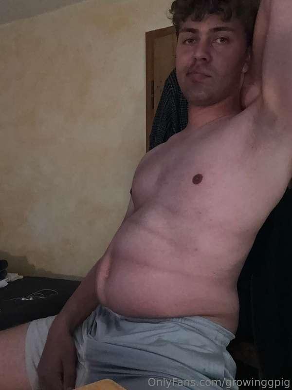 growinggpig image #1