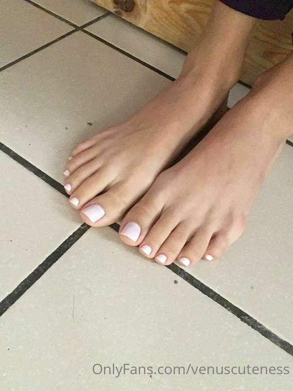 venuscuteness image #3