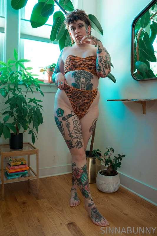 sinnabunny.premium image #6