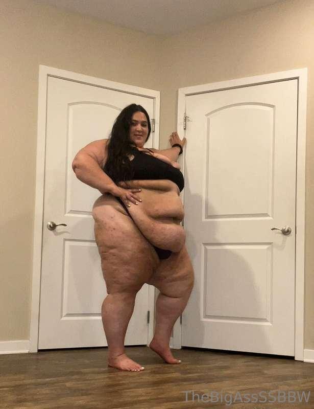 thebigassssbbw1 image #0