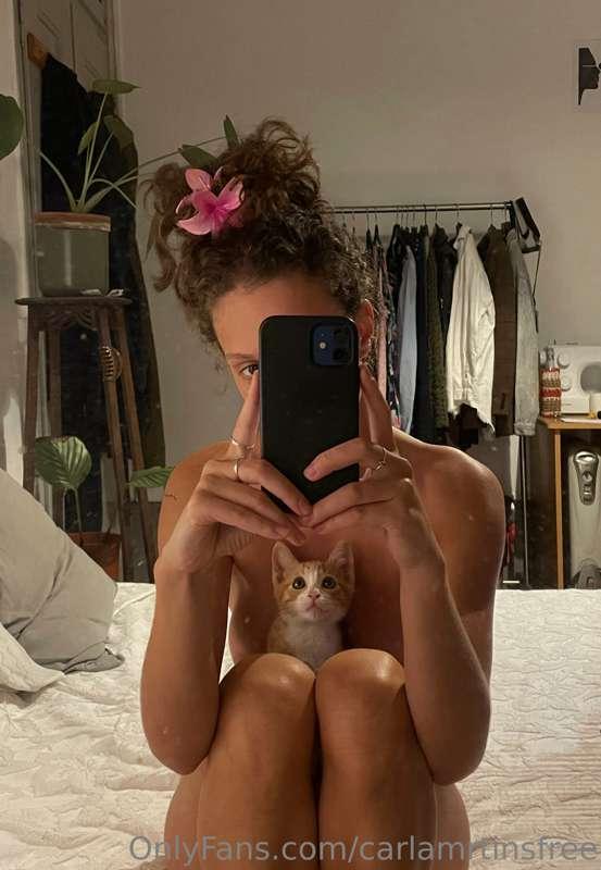 😽