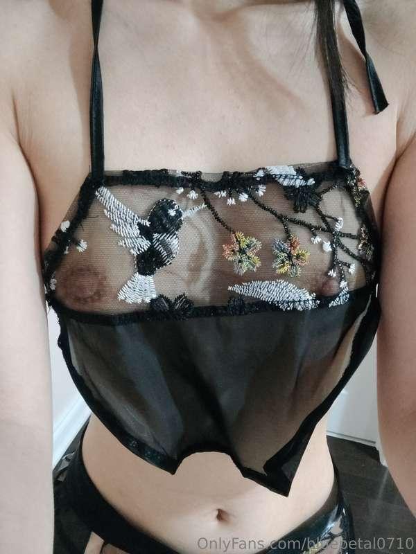 bluepetal0710 image #0