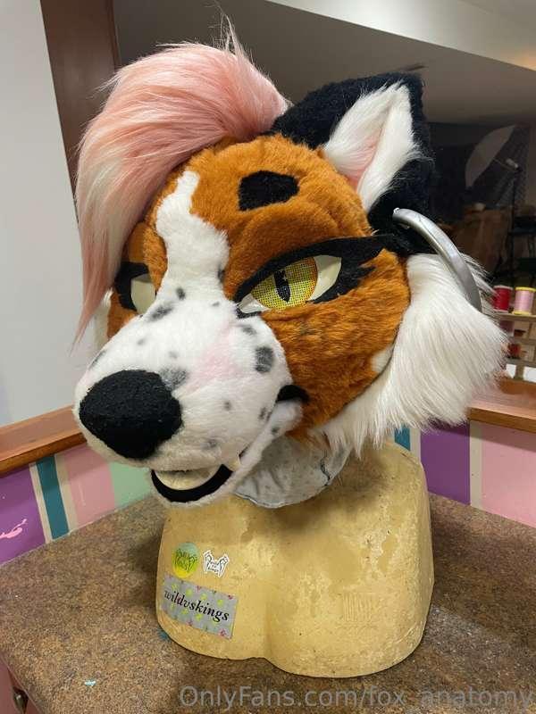 Andromeda Refurb!! 
Hello my loves, just wanted to announce ..