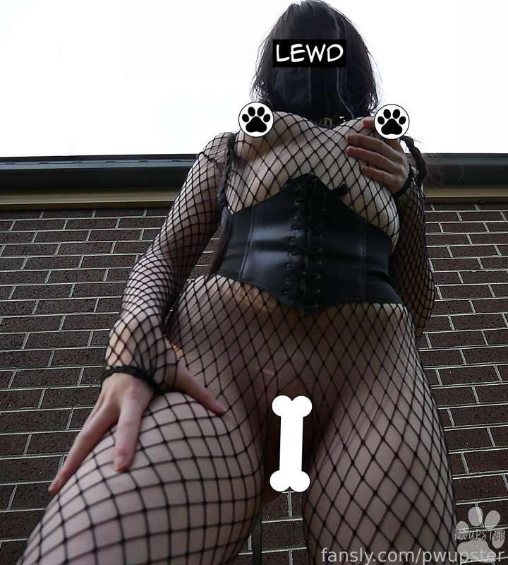 pwupster image #10