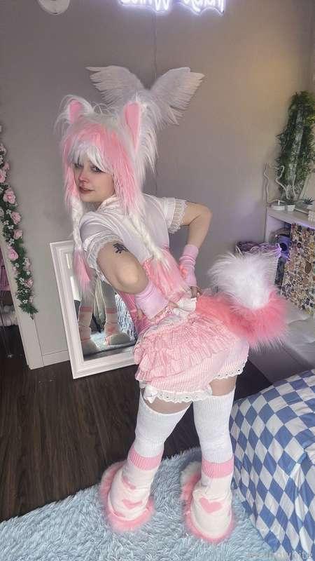 indigowhite image #24