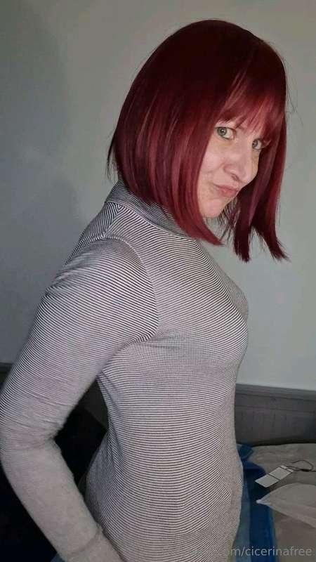 cicerinafree image #1