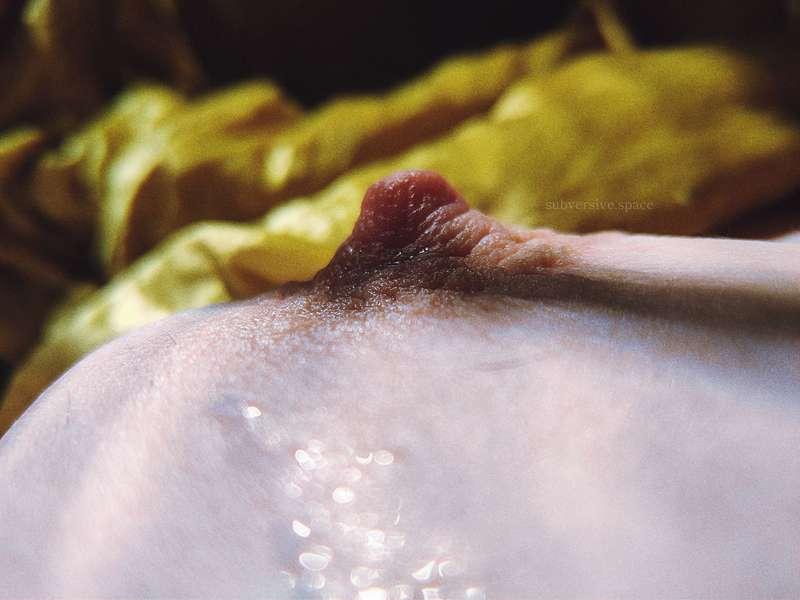 narratophile image #8