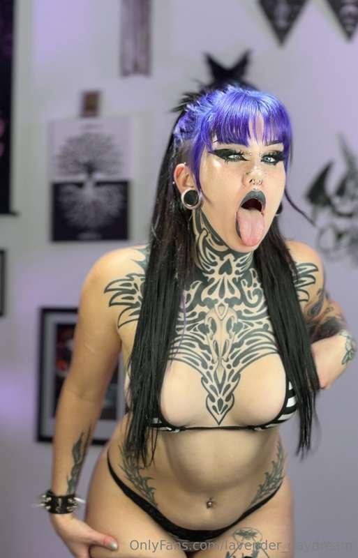 lavender_daydream image #2