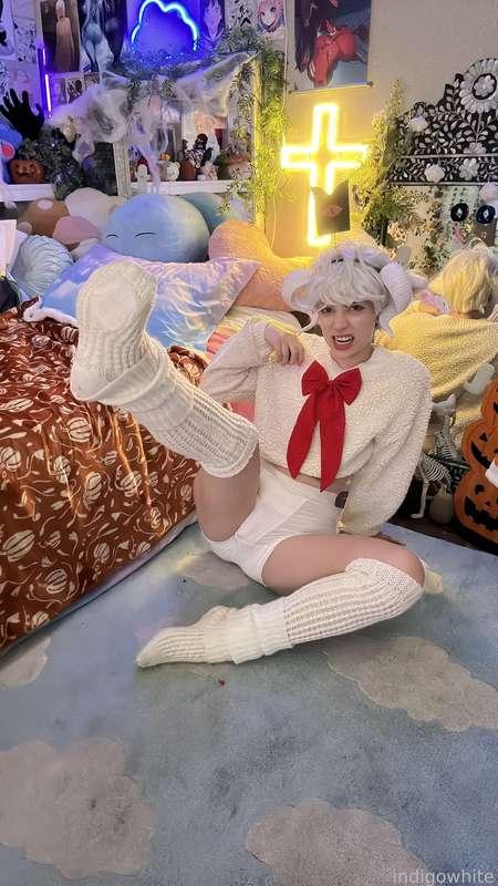 indigowhite image #71