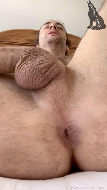 wolver_peen image #7