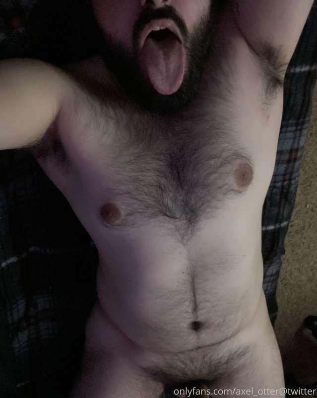 axel_otter image #0