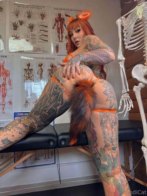 Swipe —> to move my tail out of the way 😉