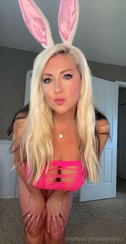 My VIP page is FREE !! Head over there for the latest, the g..