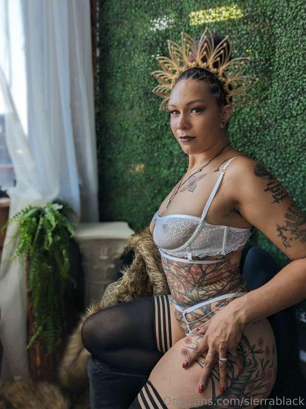 sierrablack image #5