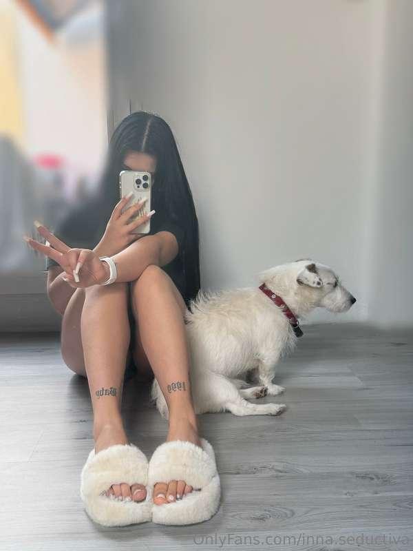 Pets, it is a pleasure, pets bring joy fun and good mood, ju..