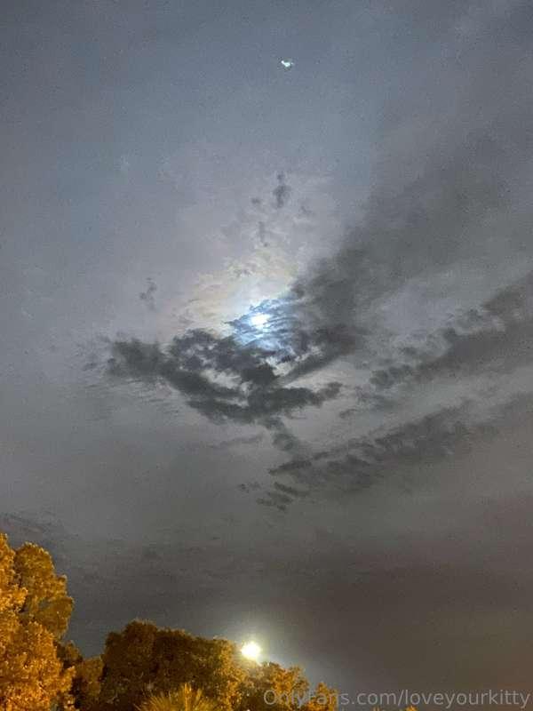 loveyourkitty image #13